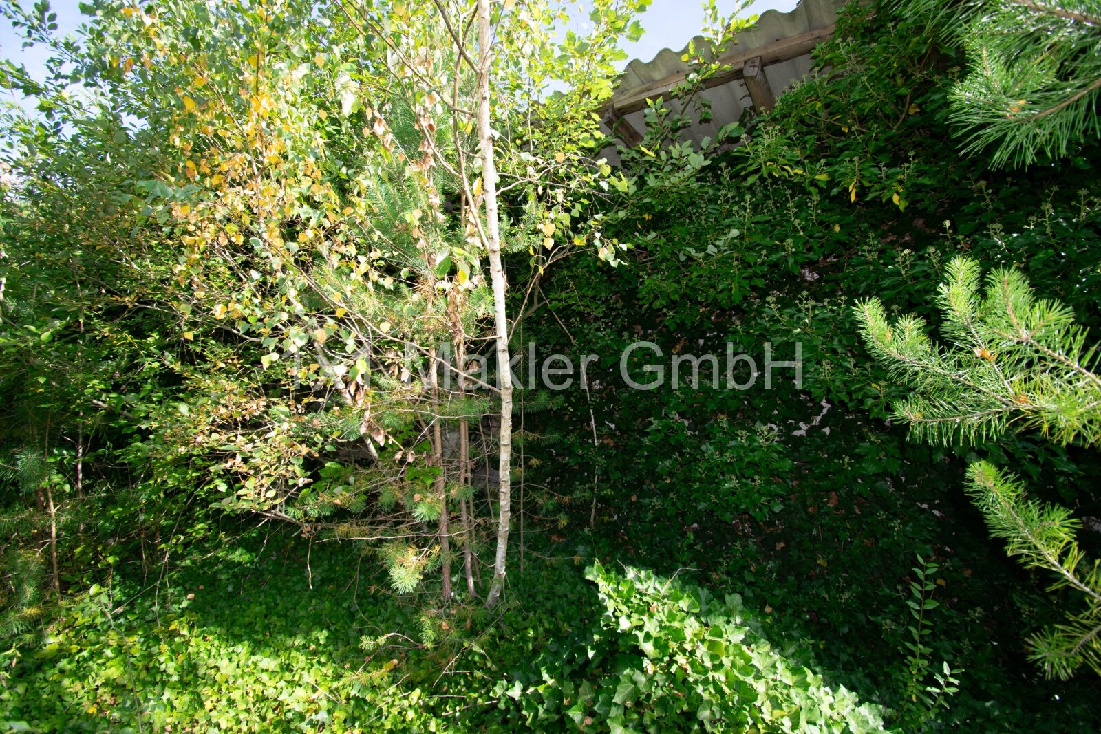 Eigentumsland in Neu Pampow mit Bungalow