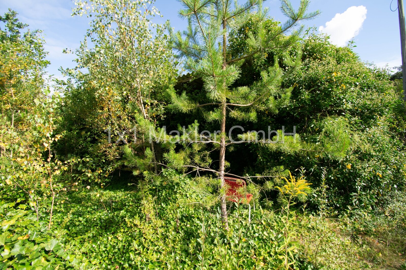 Eigentumsland in Neu Pampow mit Bungalow